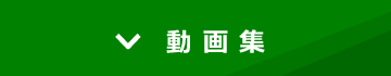 動画集